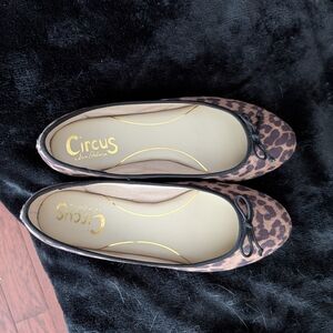 Circus by Sam Edelman Leopard Print Flats